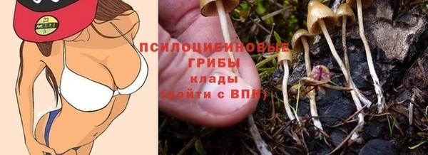 трава Долгопрудный