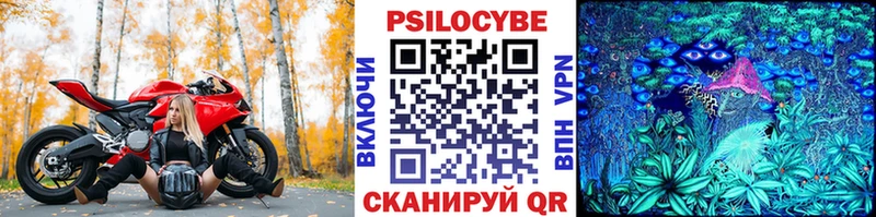 как найти наркотики  Бузулук  Галлюциногенные грибы Psilocybe 